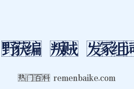 野获编·叛贼·发冢组词是什么意思的图片